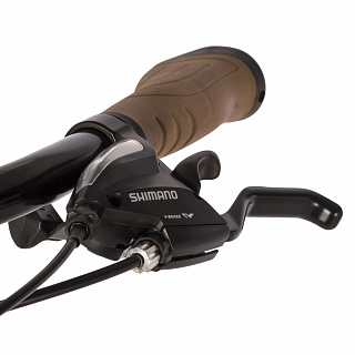 Велосипед Stinger Calipso EVO 28" (2019) - фото