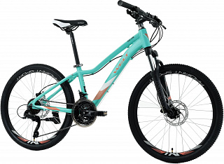 Велосипед Welt Floxy 1.0 HD 24 (2022) - фото