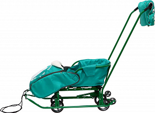 Санки детские "Тимка 5УН" с набором аксессуаров, Т5УН/ИЗ, изумрудные с котенком - фото