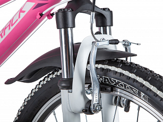 NOVATRACK NOVARA 24" (2020) - фото