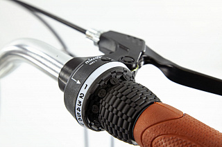 Велосипед Alpinebike Costa 26 (2022) - фото