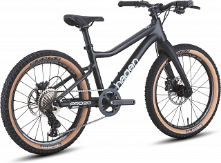 Велосипед Hagen Teen Pro 20 Carbon (2025) - фото